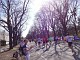 [img: 130414-1018_DSC00783.JPG]