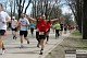 [img: 130414-1245_22.JPG]